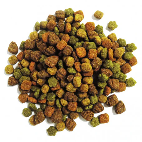 DOG CHOW PELLET ADULTO