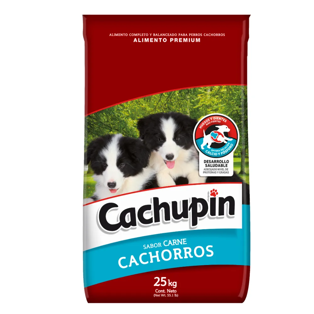 CACHUPIN CARNE