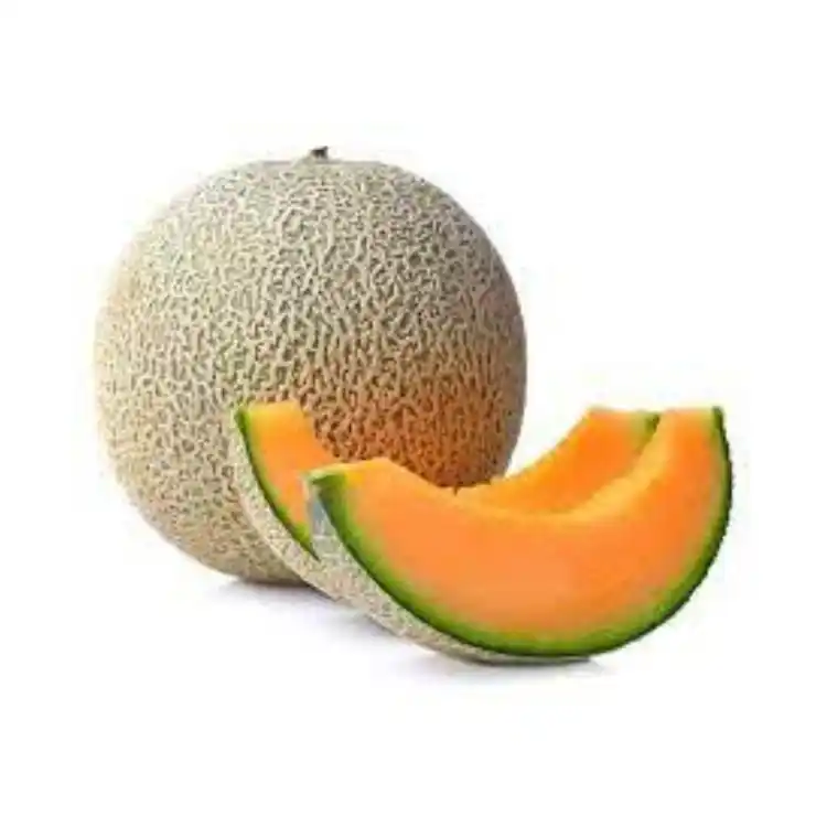 [3200] MELON CALAMEÑO