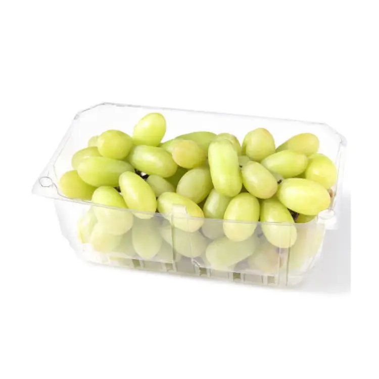 UVA BLANCA POR BANDEJA