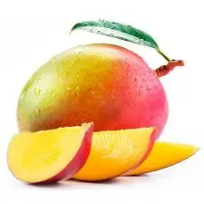 [0100000167366] MANGOS