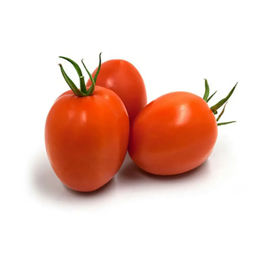 TOMATES PARA SALSA