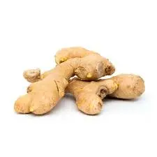 [0100000258514] JENGIBRE