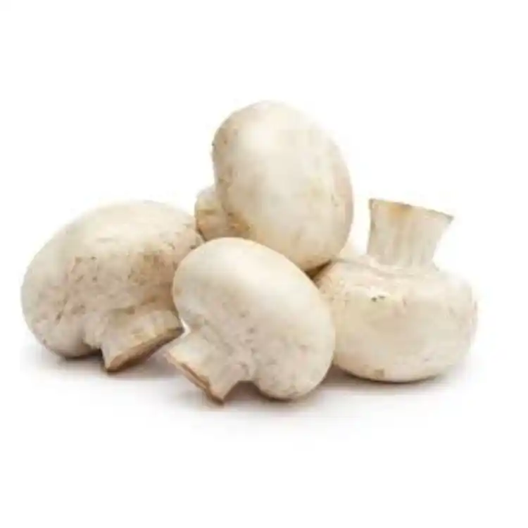 CHAMPIÑONES AL KILO