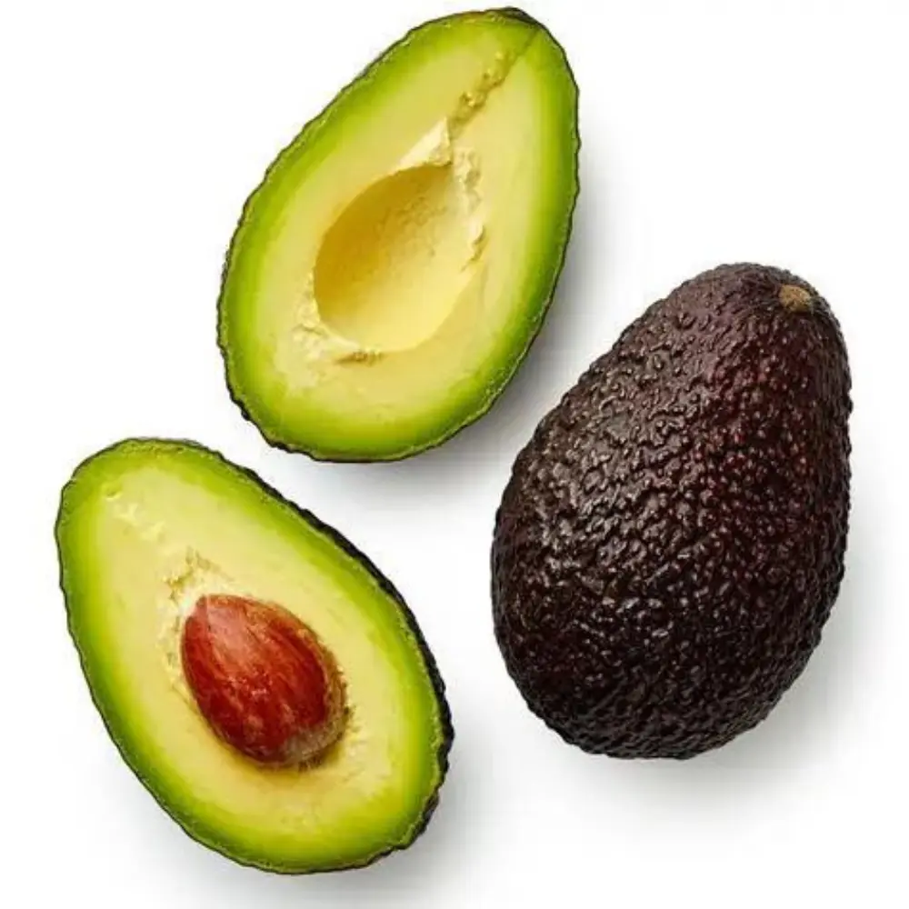 [263] PALTA HASS GRANDE