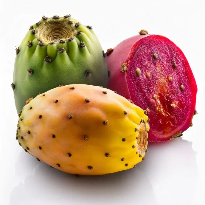 [267] TUNAS DE FRUTA